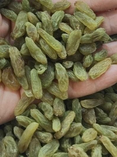 تصویر 1 از کشمش سبز اراک خوش رنگ تهیه شده از انگور تازه